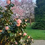 Neues Normannisches Mit Charme Kastanienbaeume By Interhome Bretteville-du-Grand Caux