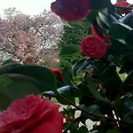 Neues Normannisches Mit Charme Kastanienbaeume By Interhome Vakantiehuis