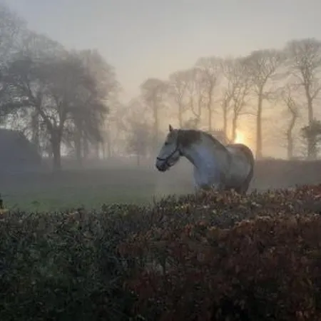 Neues Normannisches Mit Charme Kastanienbaeume By Interhome *
