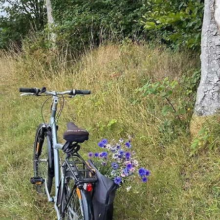 Neues Normannisches Mit Charme Kastanienbaeume By Interhome Hébergement de vacances Bretteville-du-Grand Caux