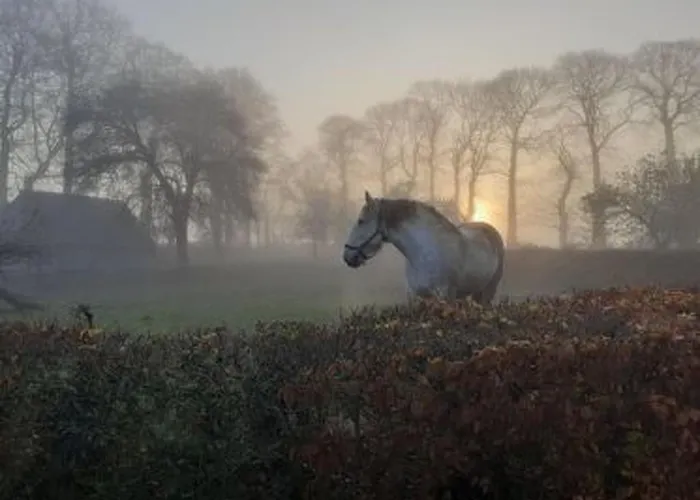 Neues Normannisches Mit Charme Kastanienbaeume By Interhome *
