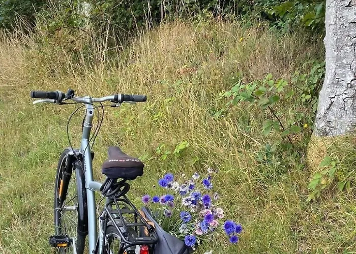 Neues Normannisches Mit Charme Kastanienbaeume By Interhome Tatil Evi Bretteville-du-Grand Caux