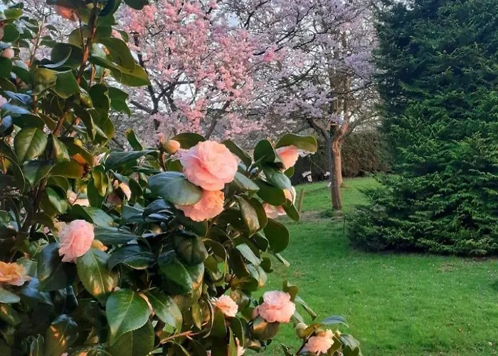 Neues Normannisches Mit Charme Kastanienbaeume By Interhome Bretteville-du-Grand Caux