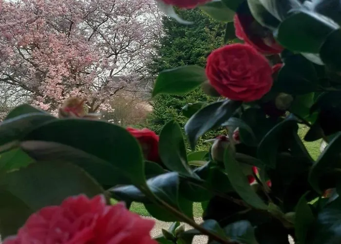 Neues Normannisches Mit Charme Kastanienbaeume By Interhome Ferienhaus